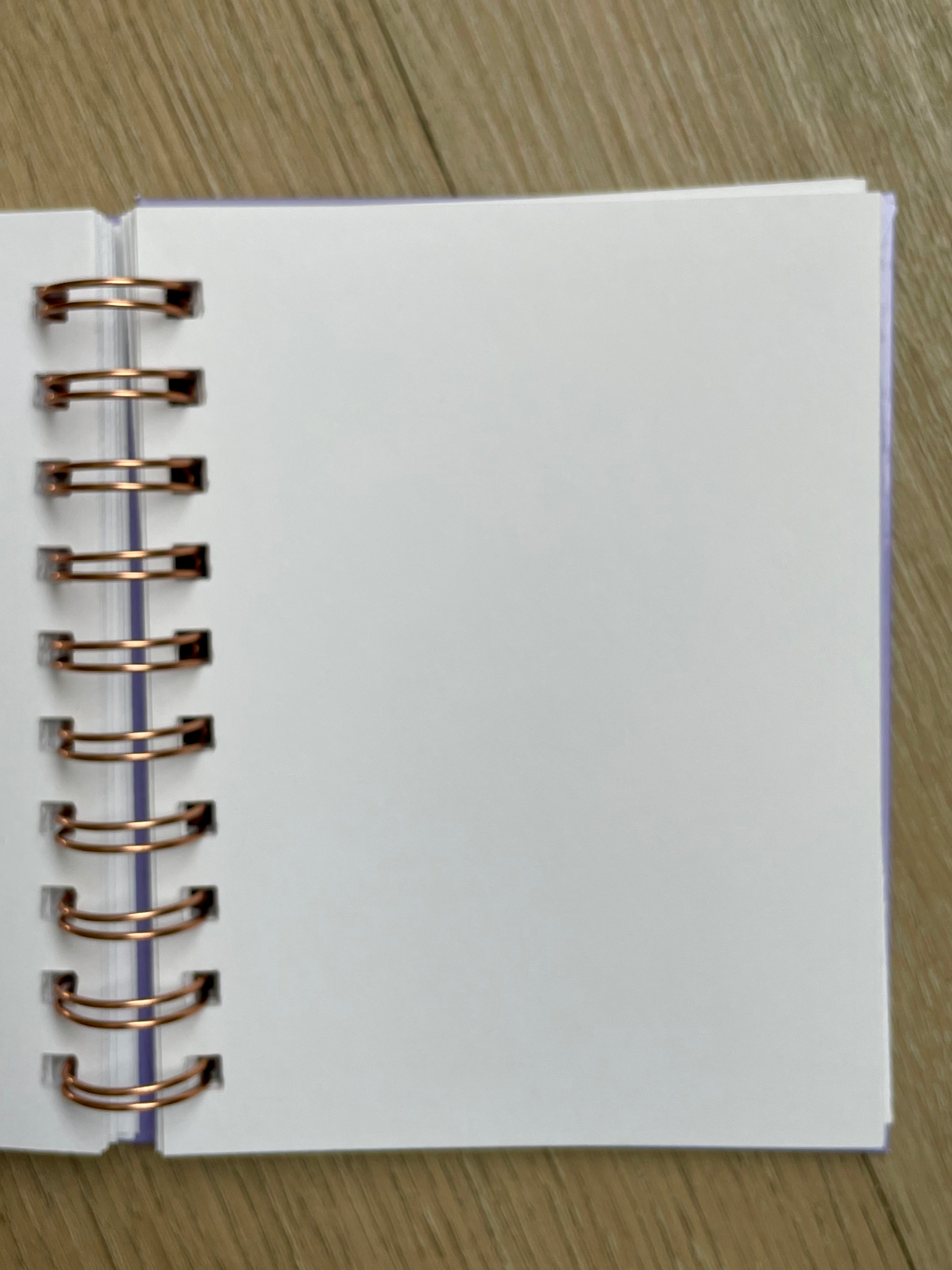 Conversation Journals - tree free paper